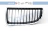 JOHNS 20 09 05-1 Radiator Grille